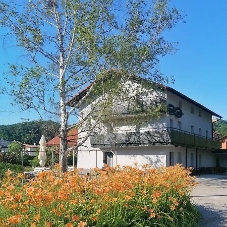 Apartments & Rooms Sasa Podčetrtek Exterior foto